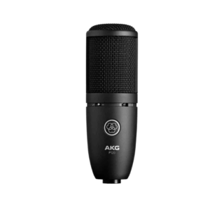 AKG P120