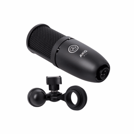 AKG P120