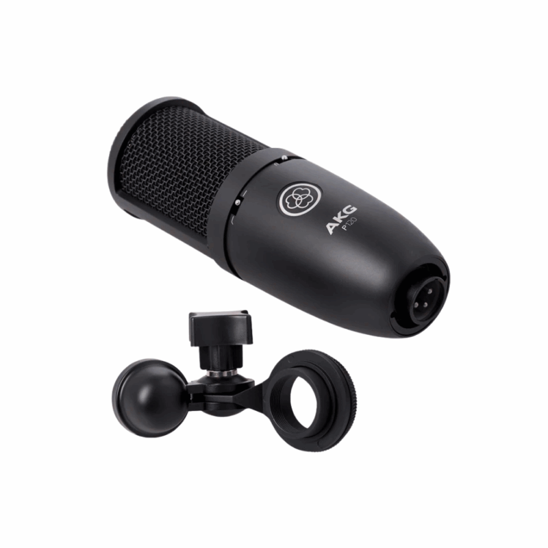 AKG P120