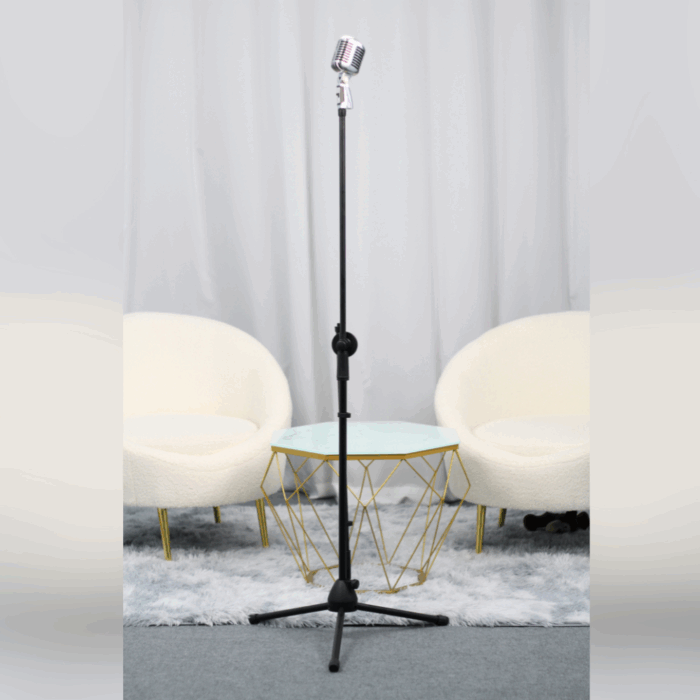 Chân mic thường và mic cổ điển tùy màu - Ảnh 1