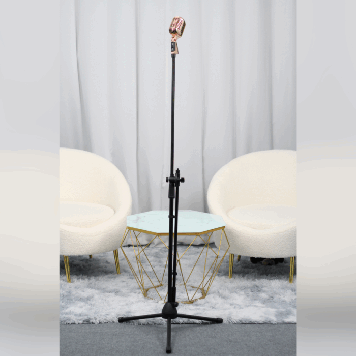 Chân mic thường và mic cổ điển tùy màu - Ảnh 2