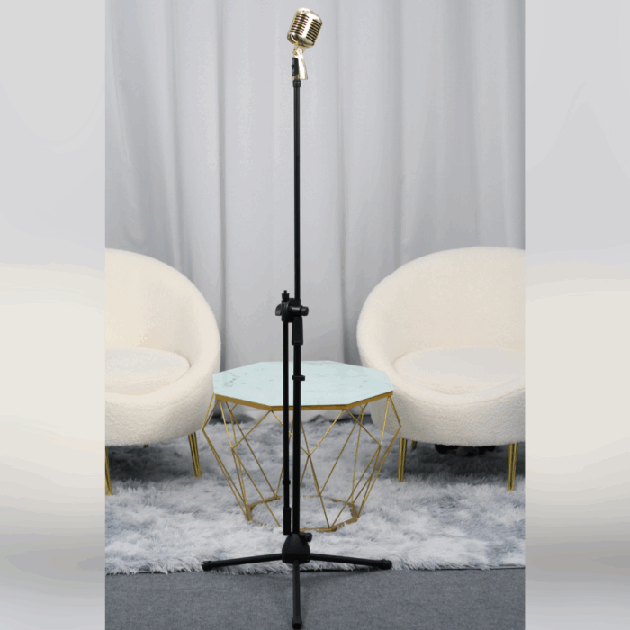 Chân mic thường và mic cổ điển tùy màu - Ảnh 3